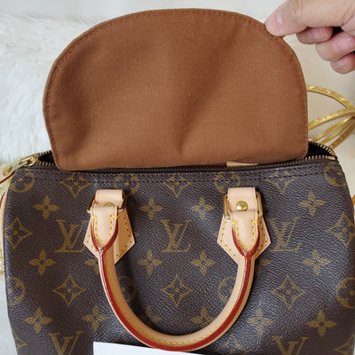 LOUIS VUITTON SPEEDY 25 PRE-LOVED