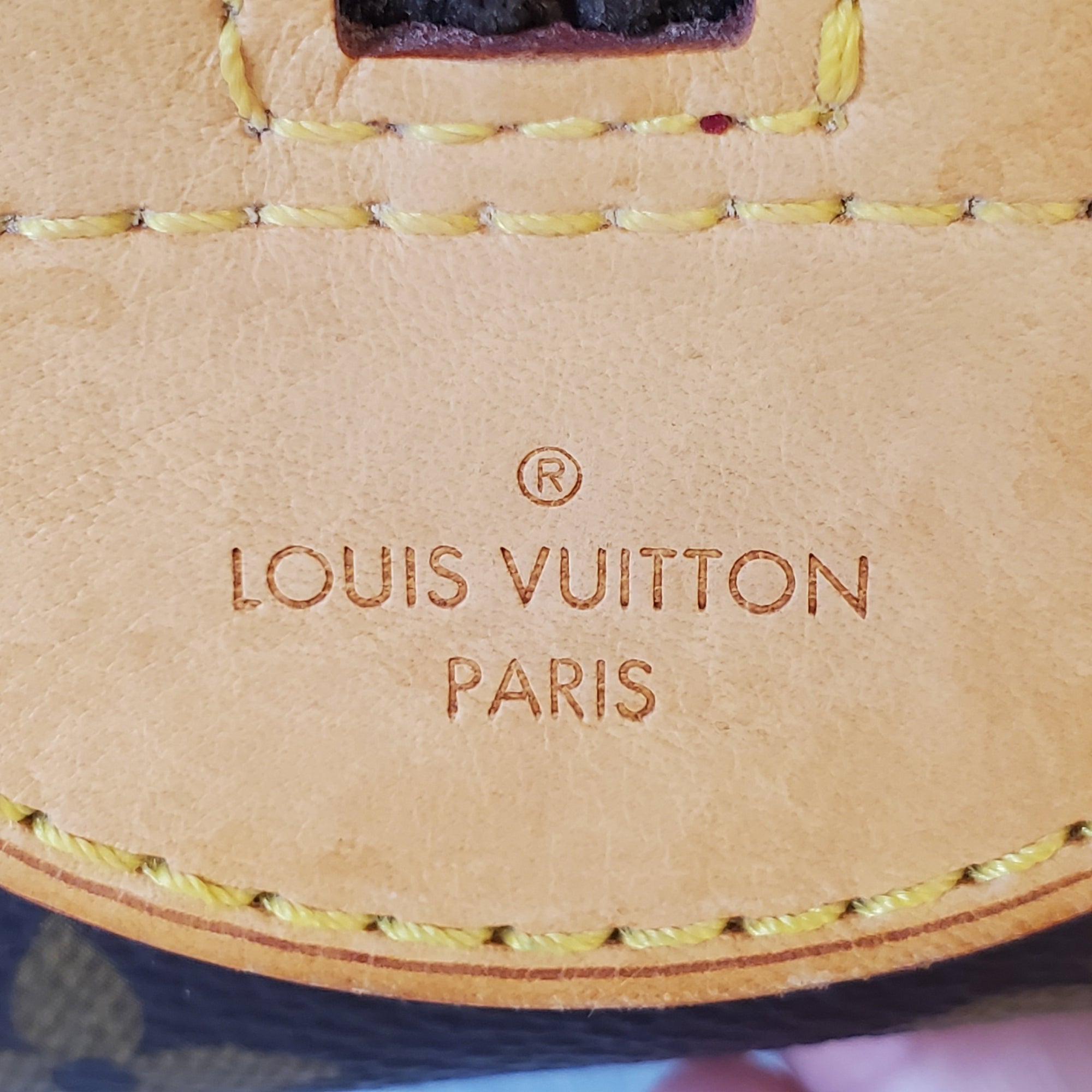 Louis Vuitton Monogram Mizi 